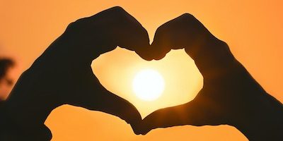 Anillos Anillos Vasculares