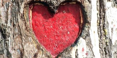 Canal Aurículoventricular (CAV)