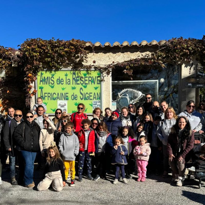 4918ee91-7d3c-4e4f-81d9-a9ed479de0be 3